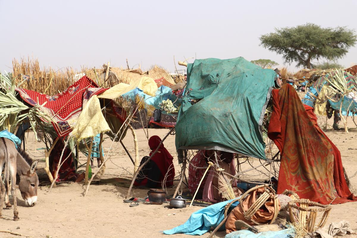 Sudanese refugees who have recently arrived in Chad. Sudanese refugees sit in the shade under makeshift shelters in the Chadian desert